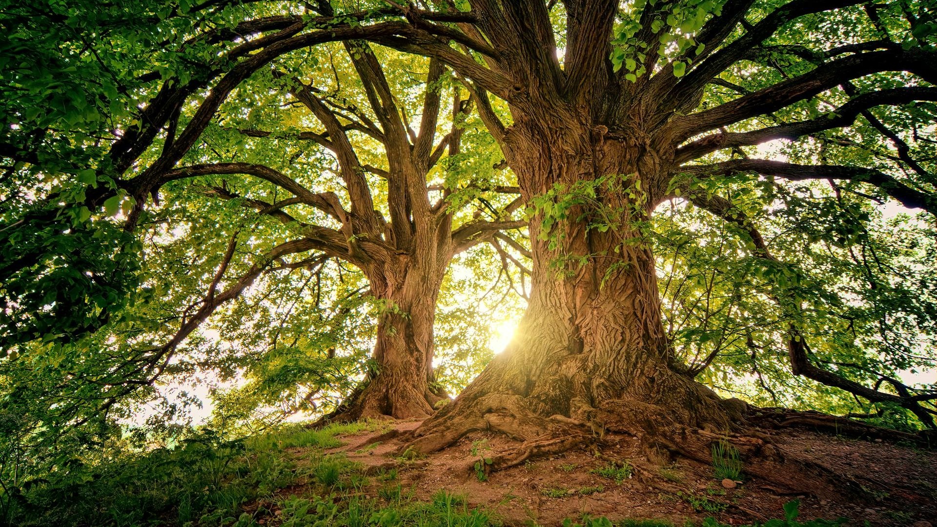 spirituele waarde van natuur